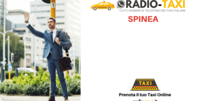 Taxi Spinea