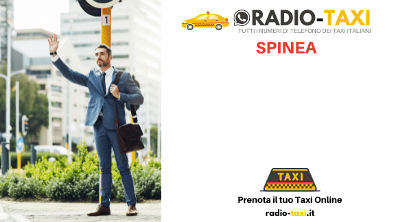 Taxi Spinea