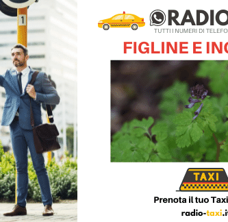 Taxi Figline E Incisa V.