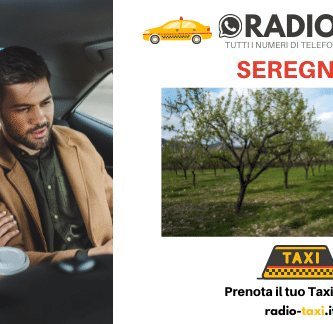 Taxi Seregno