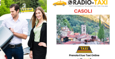 Taxi Casoli